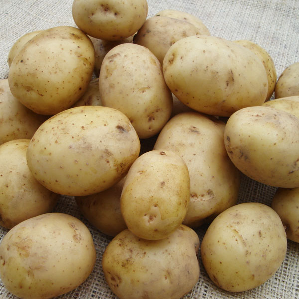 Potatoes Orla 2.5kg   ORGANIC