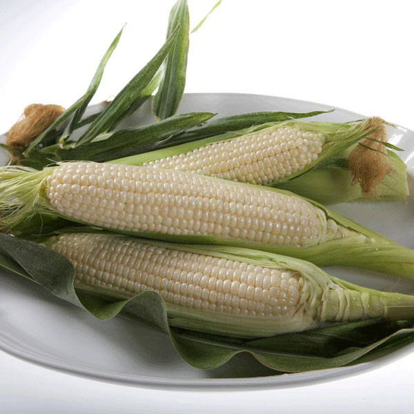 Sweet Corn Amaize F1 SH2