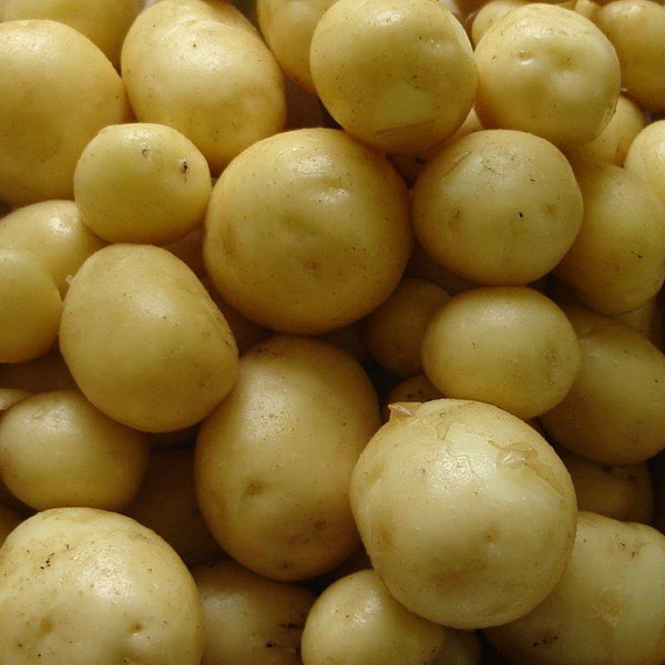 Maris Peer Potatoes (1kg)