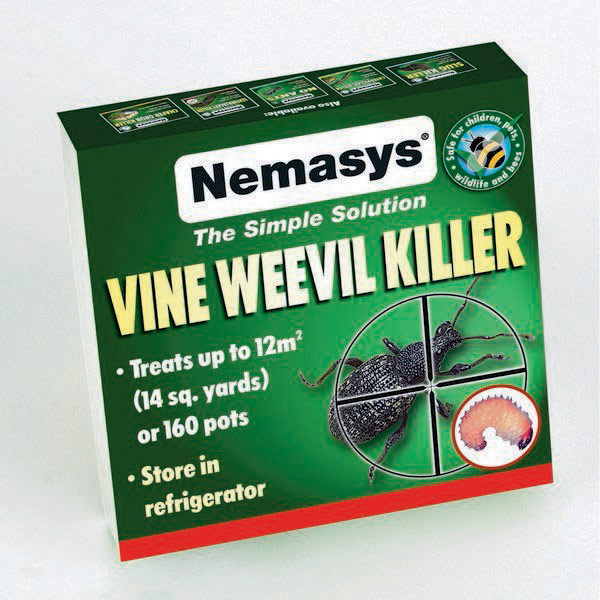 DIRECT SALE Nemaslug Vine weevil Killer treats 100 M2