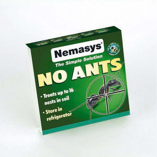 DIRECT SALE Nemasys No Ants Treats 16 nests
