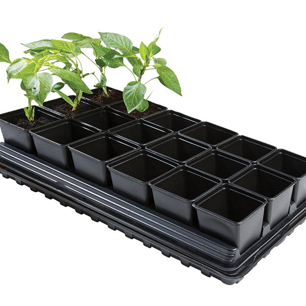Professional Vegetable Tray Set