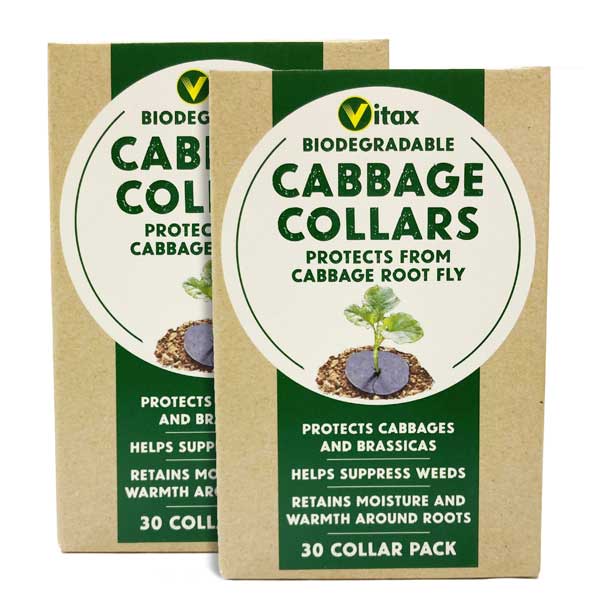 Cabbage Collars   60 Discs (Two Packs)