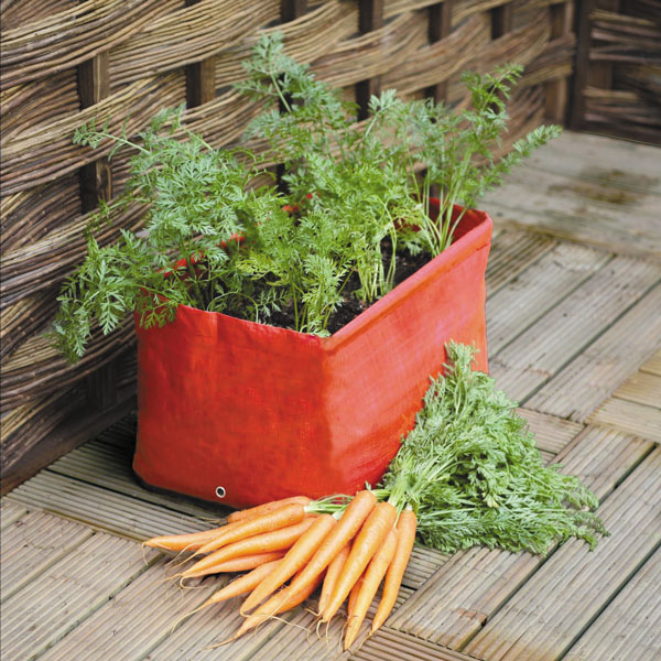 Carrot Planter   2 planter pack