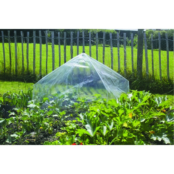 Poly Giant Lantern Cloches | Crop Protection | Kings Seeds