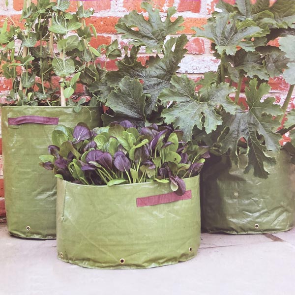 Patio Vegetable Planters   pack of three