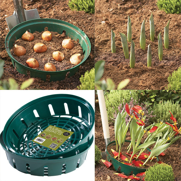 Bulb Planting Basket   Round Small 26cm Pack of 3