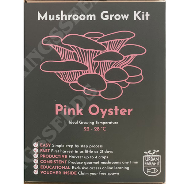 DIRECT SALE   Pink Oyster Mushroom Kit