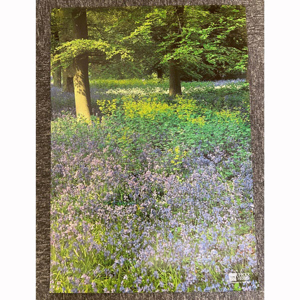 Suffolk Herbs Poster Bluebells