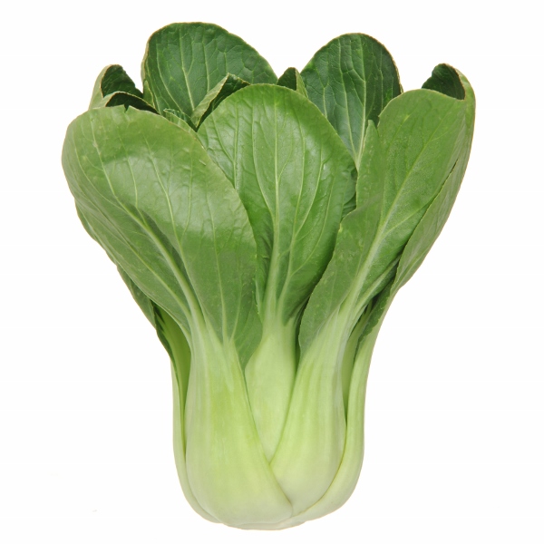 Kings Seeds Picture Packet Pak choi  Red Choi F1 RHS AGM 150 Seeds Vegetable 