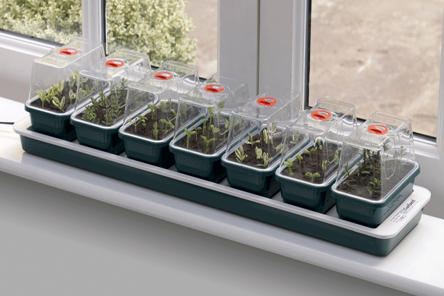 Sowing & Propagators