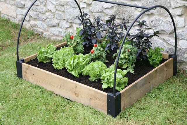 raised beds and planters