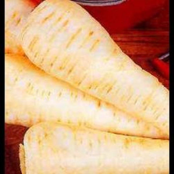 Parsnip White Gem OUT OF STOCK