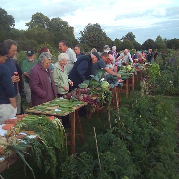 Coggeshall-Allotments-As-Dug-vegetable-show-Thurs-15th-Aug-PETER-MILLER-PICTURE-600.jpg