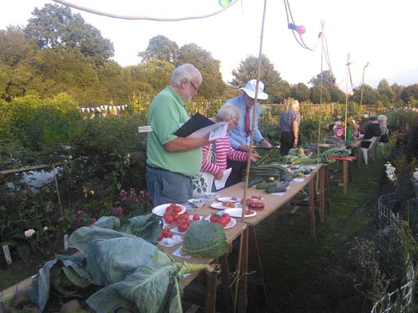 coggeshall-allotment-as-dug-competition.jpg