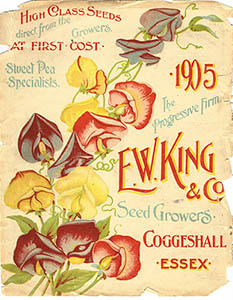 1905-cat-cover.jpg